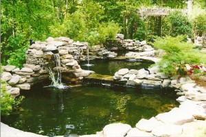 Pond300x200