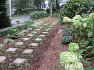 Softscaping300x225
